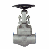 Forged Stainless Steel Globe Valve